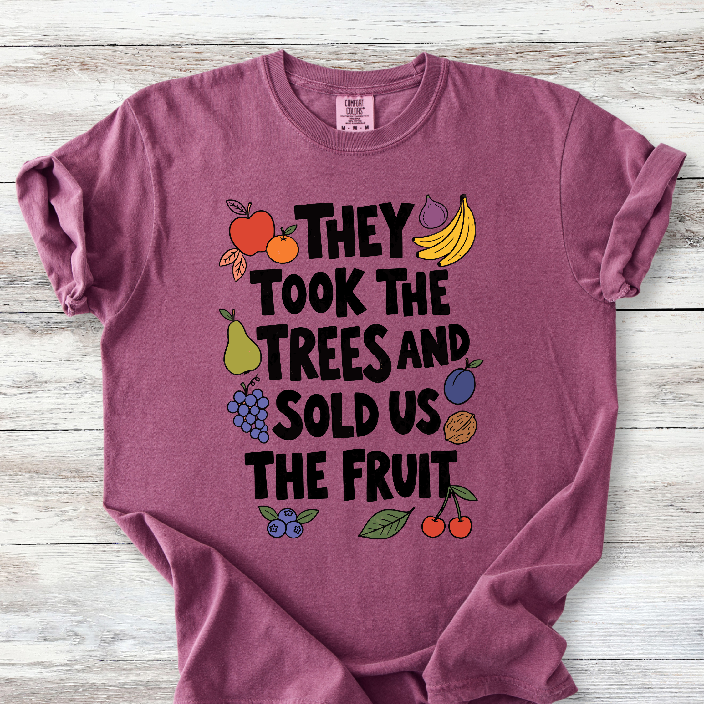 Political Protest Tshirt, The Took the Trees and Sold Us the Fruit Shirt