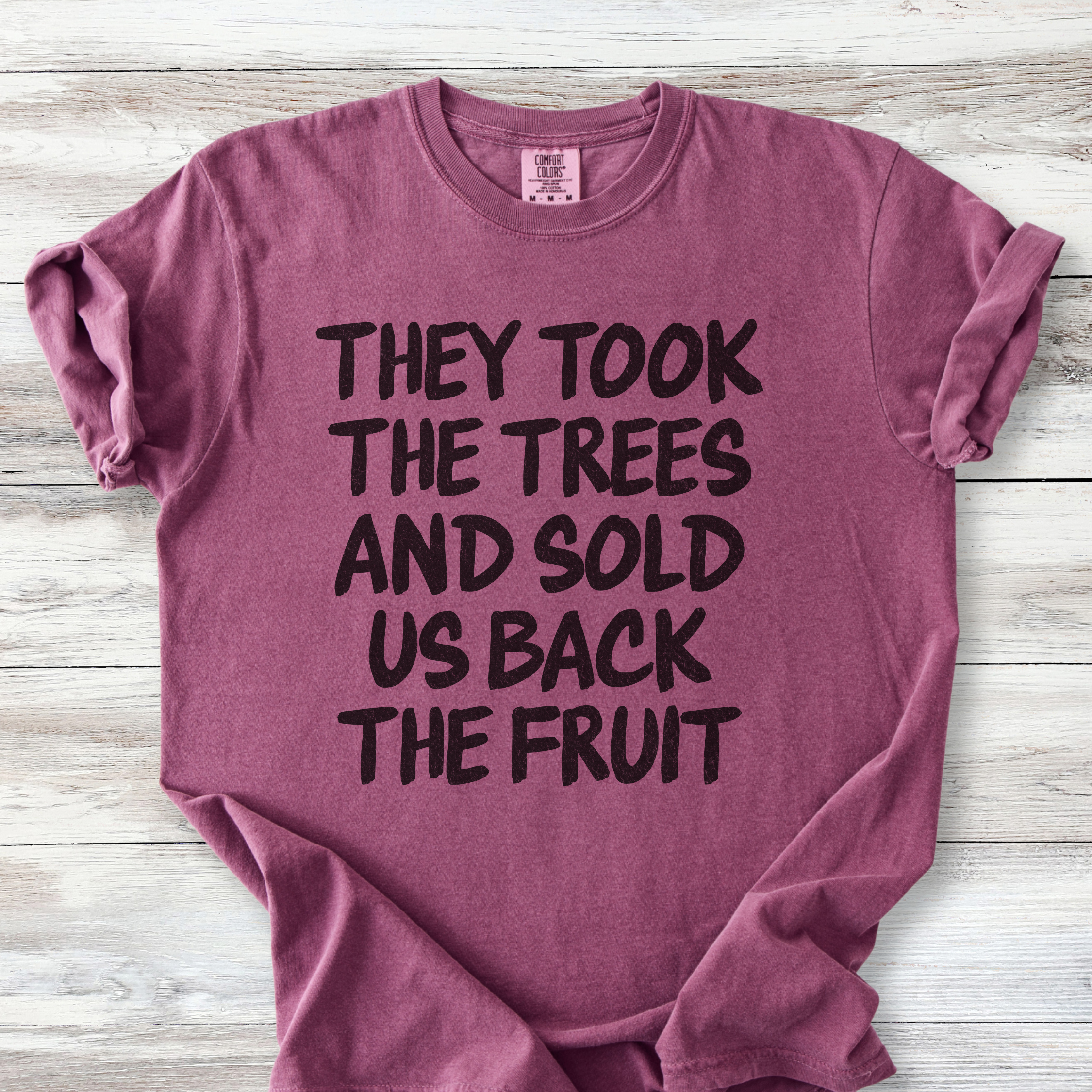 Political Protest Tshirt, They Took the Trees and Sold Us Back the Fruit