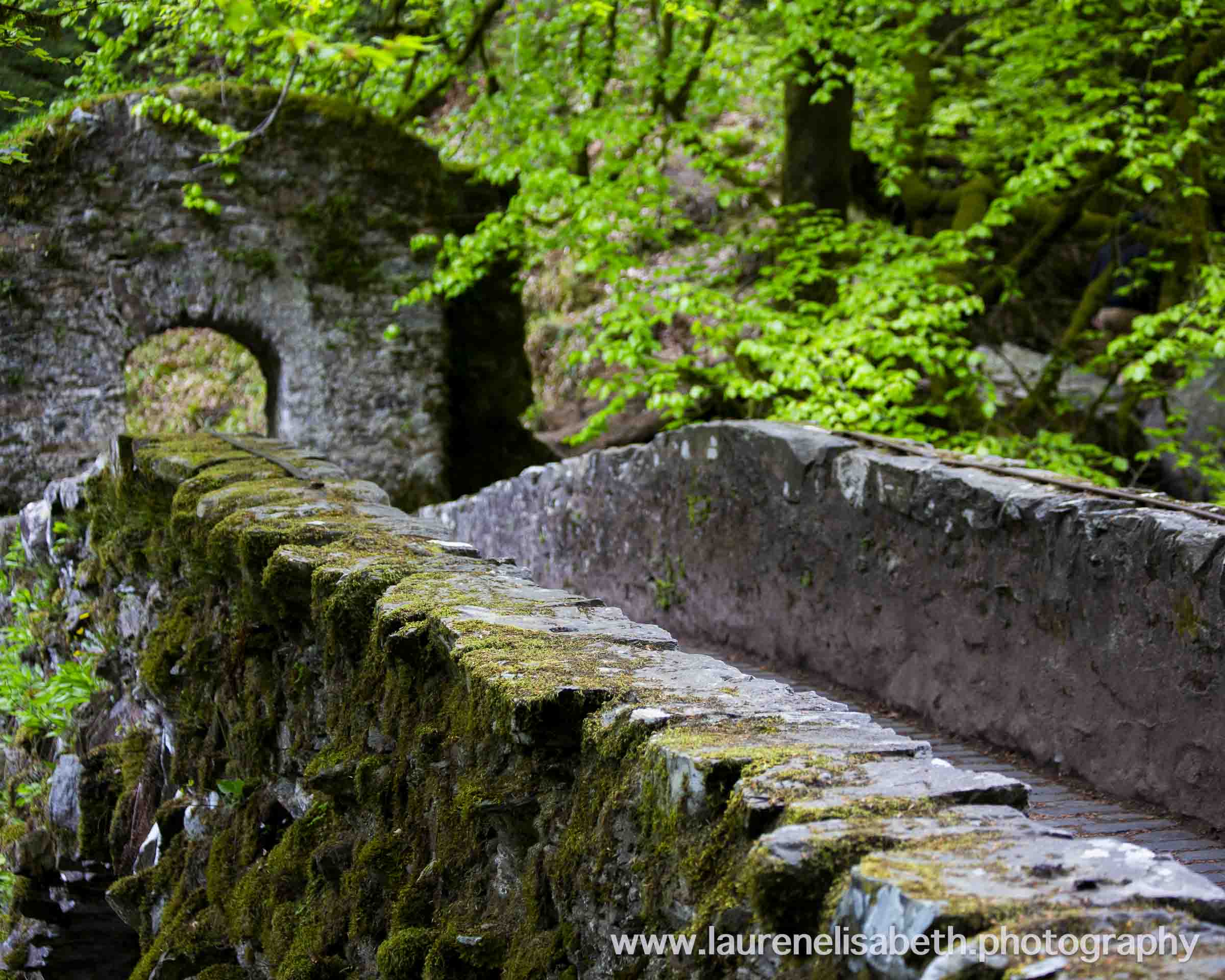 Ivy-Covered Stone Bridge, Perthshire Highlands Landscape Mini Metal Print