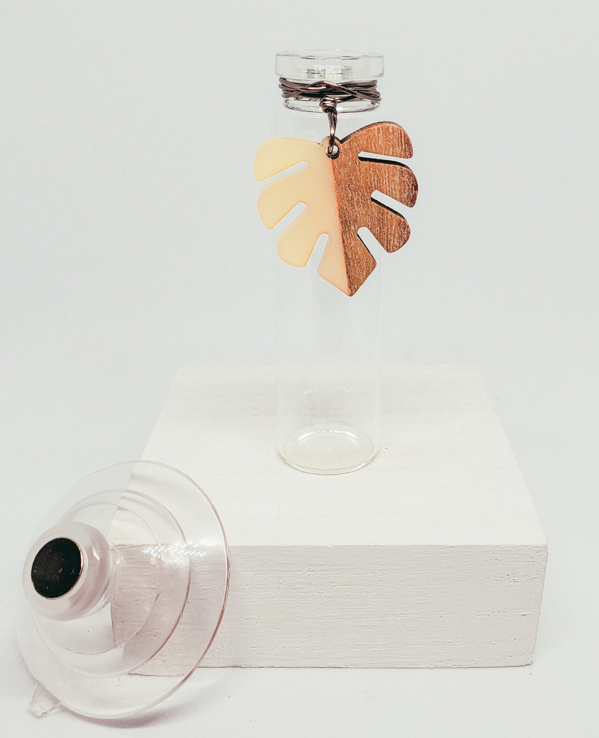 Prop Station - Monstera