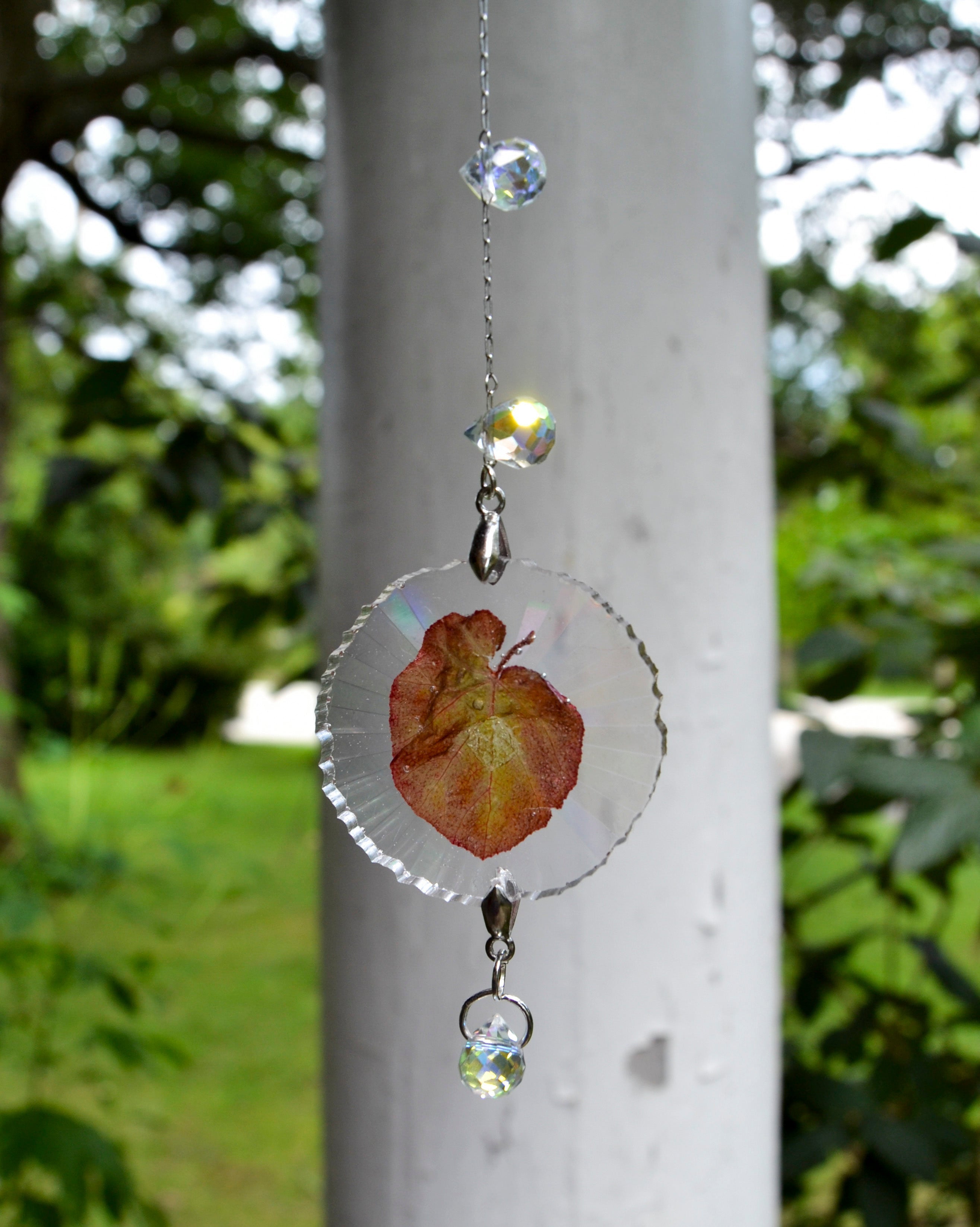 Mini Leaf Suncatcher - Holo Begonia