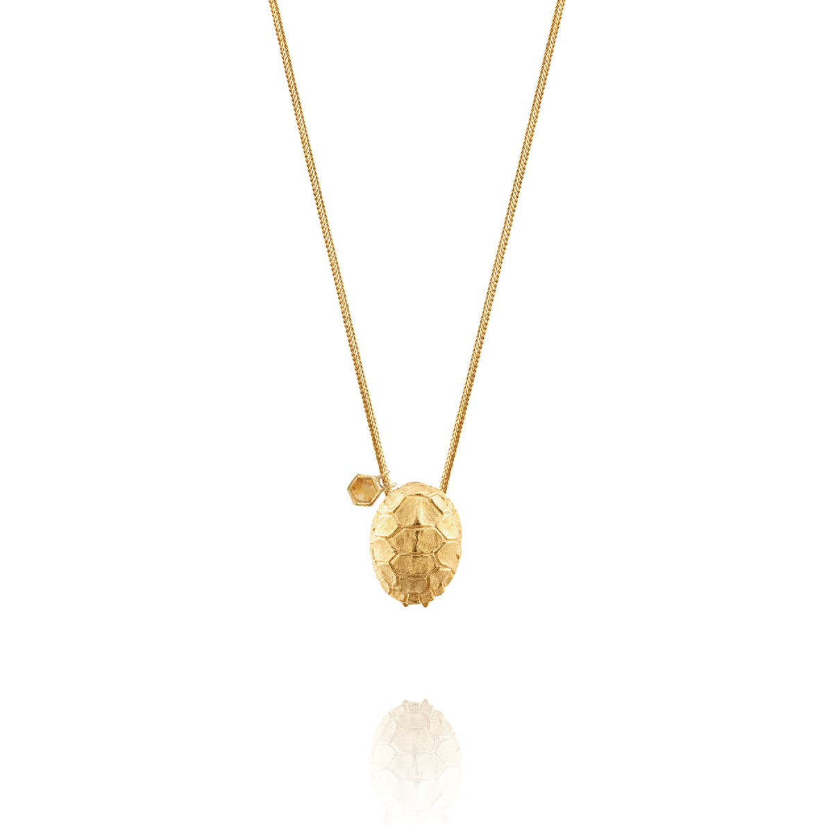 Turtle Shell Gold & Fossil Coral Necklace