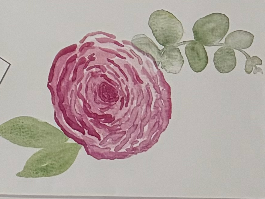 Pink rose with green leaves on a white background