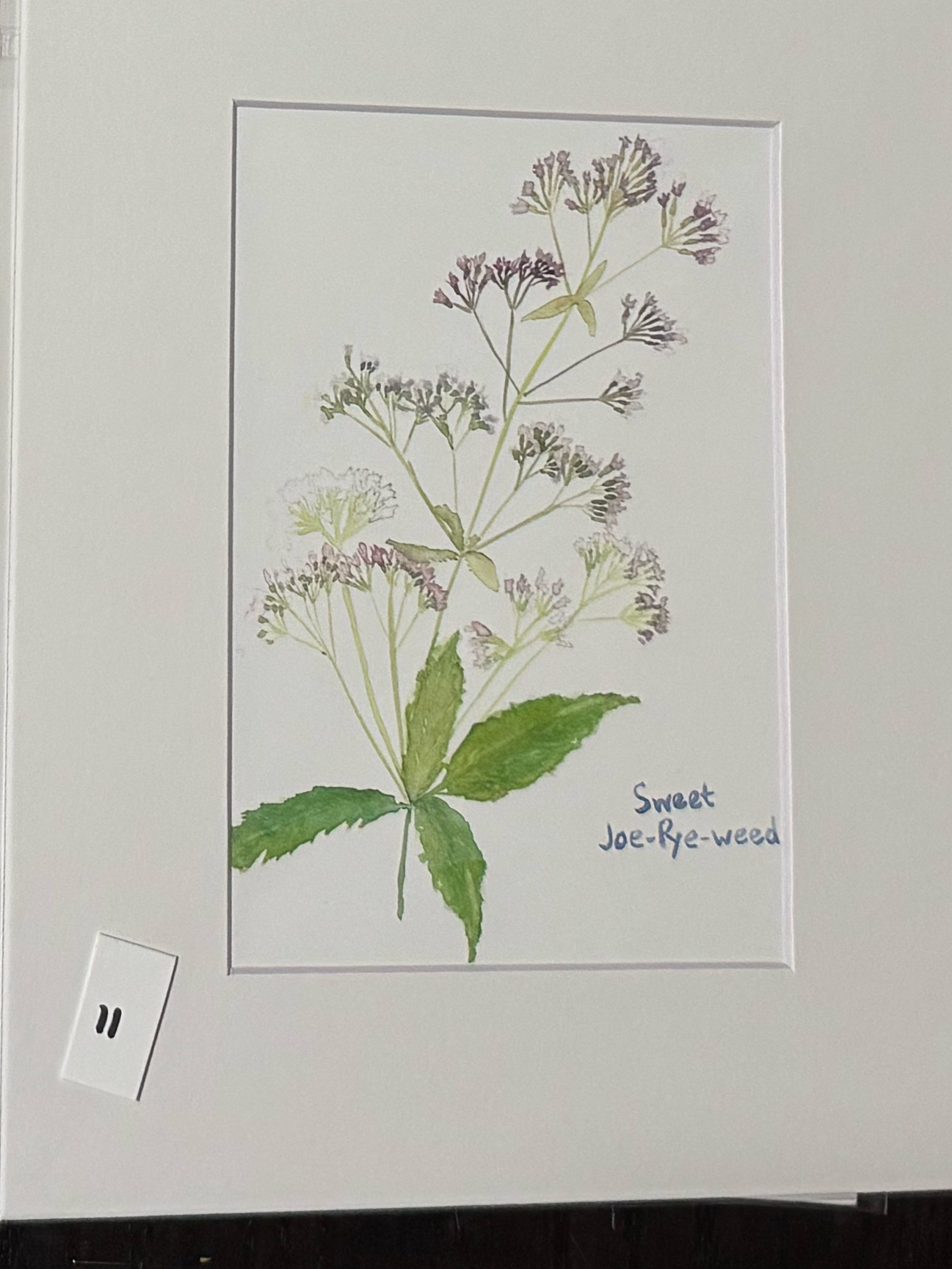 watercolor art prints - clearance