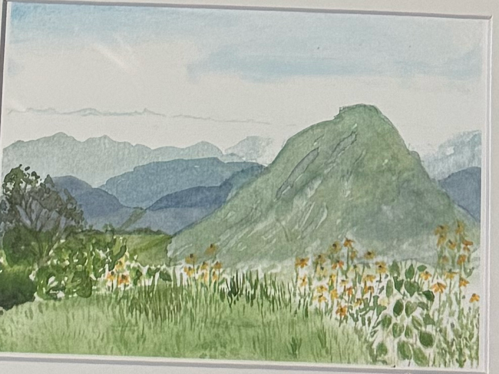 clearance watercolor art prints