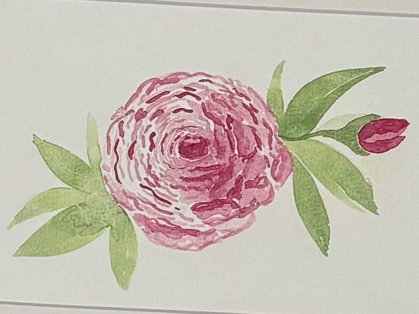 clearance watercolor art prints