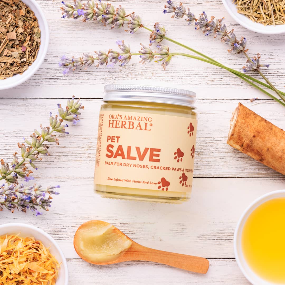Pet Salve Indoor Lifestyle Texture 4oz Jar