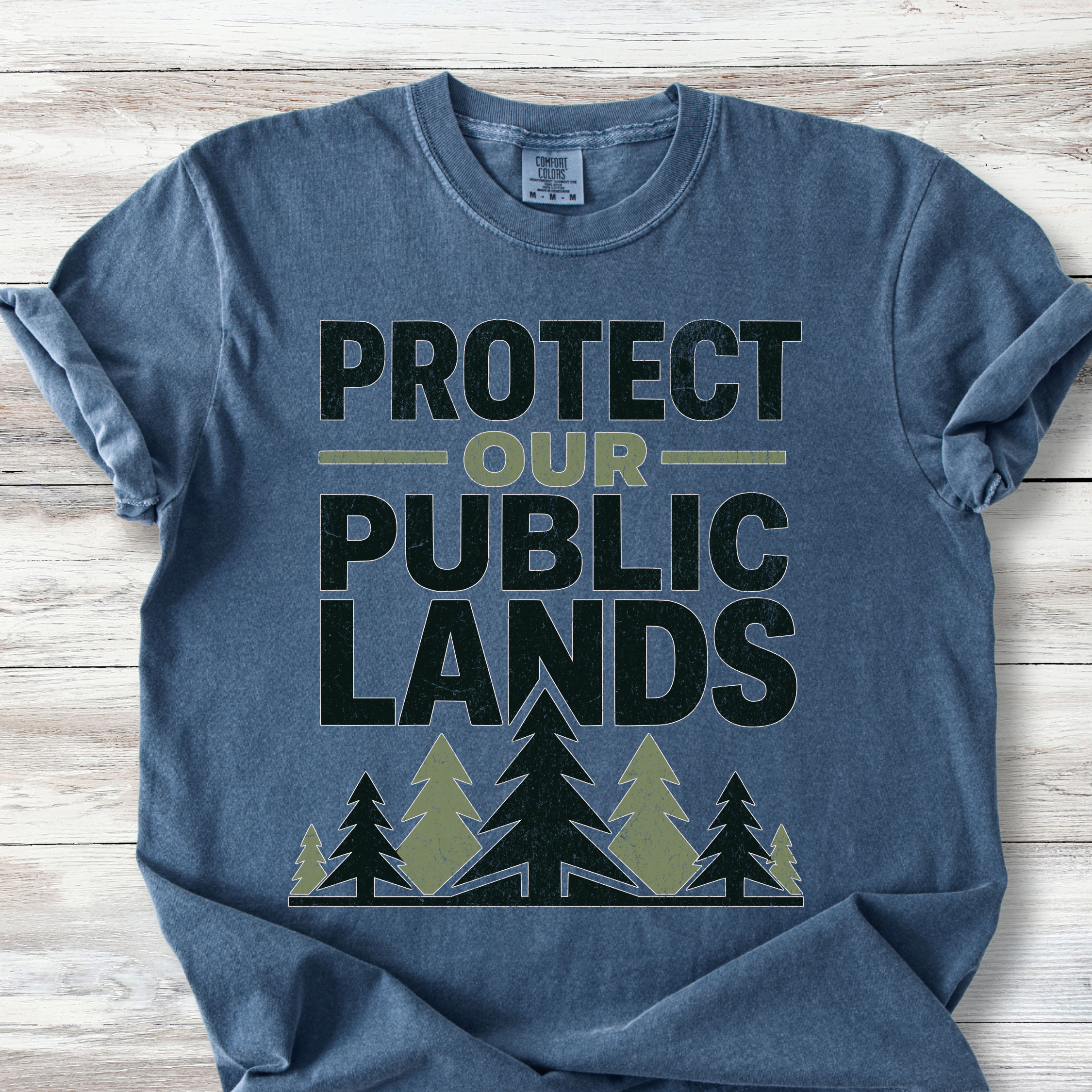 Public Lands Activist Shirt: Styled Vintage Tee, Tree T-Shirt