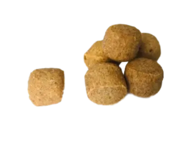 Pumpkin Dog Treats - 4Legz