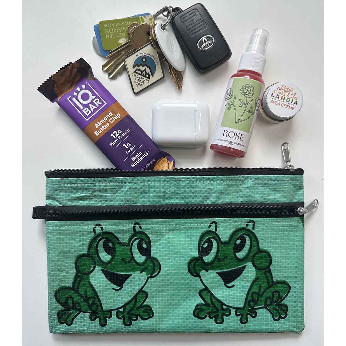 green frog print cosmetic case