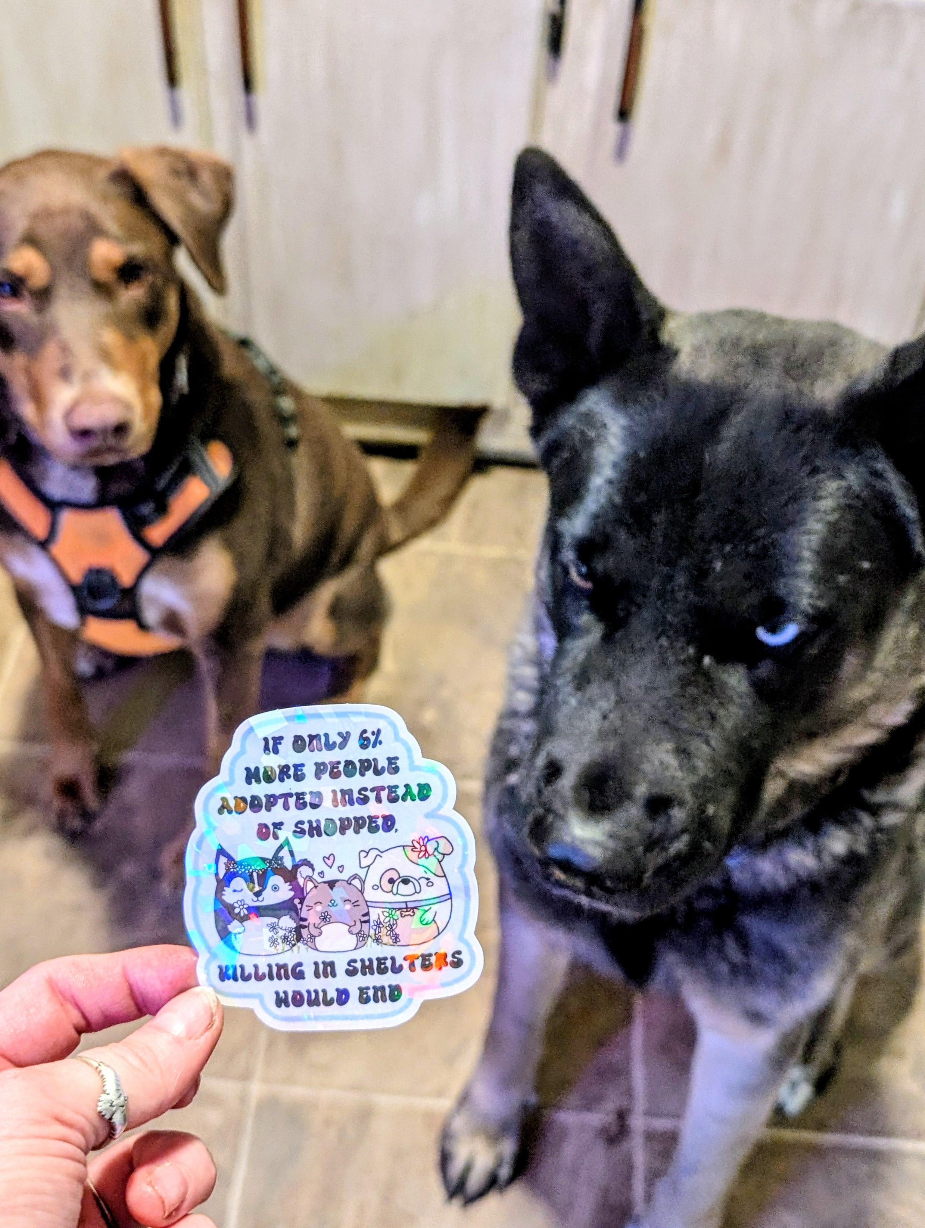 Adopt Don&
