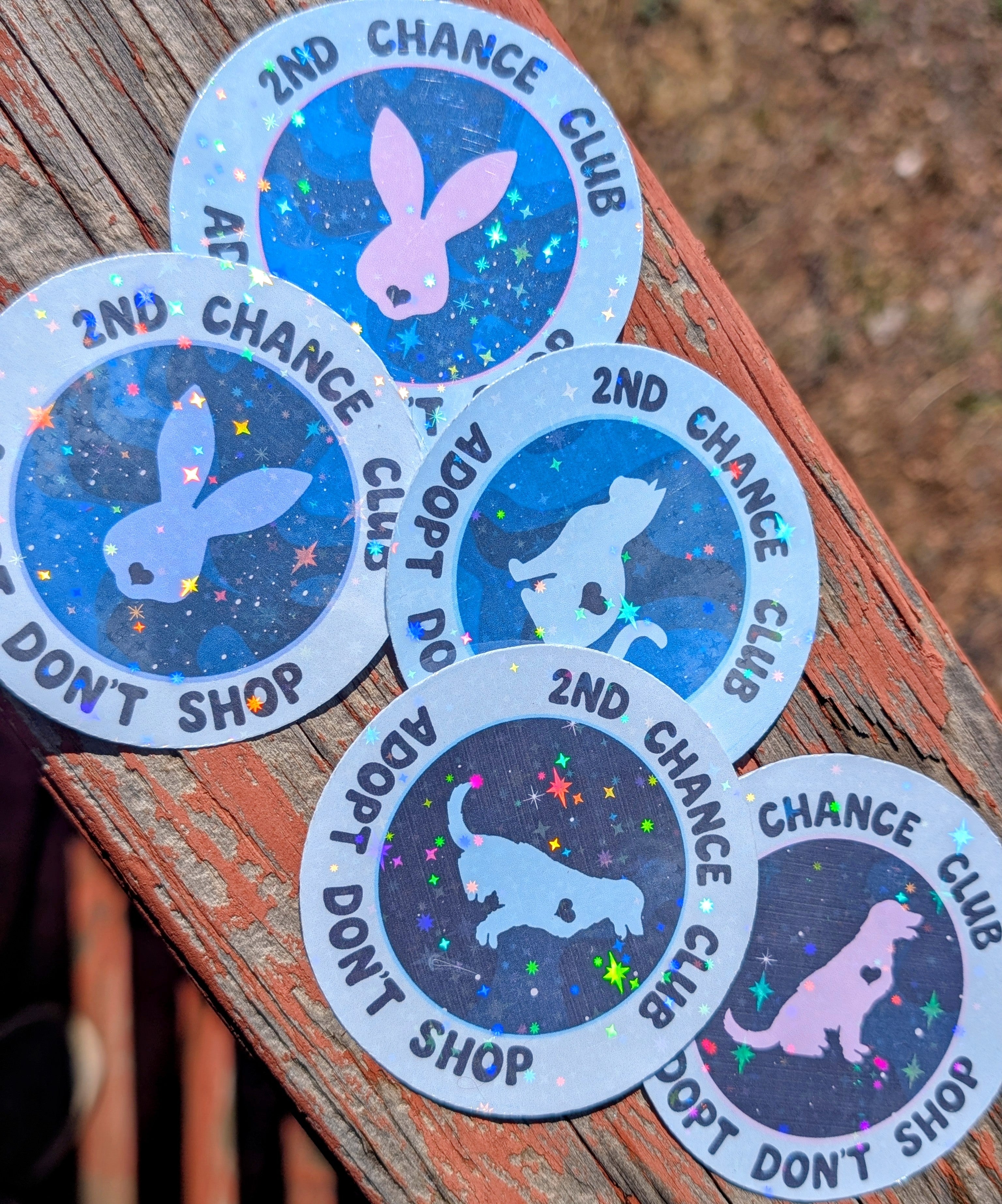 Holographic Vinyl Sticker, Adopt Don&