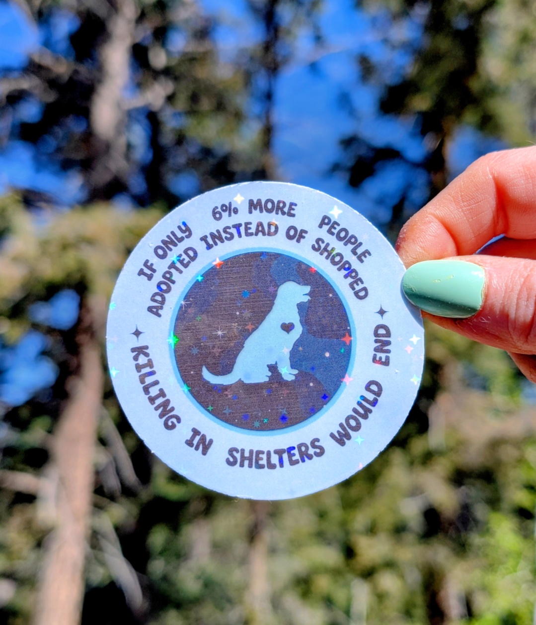 Holographic Vinyl Sticker, Adopt Don&
