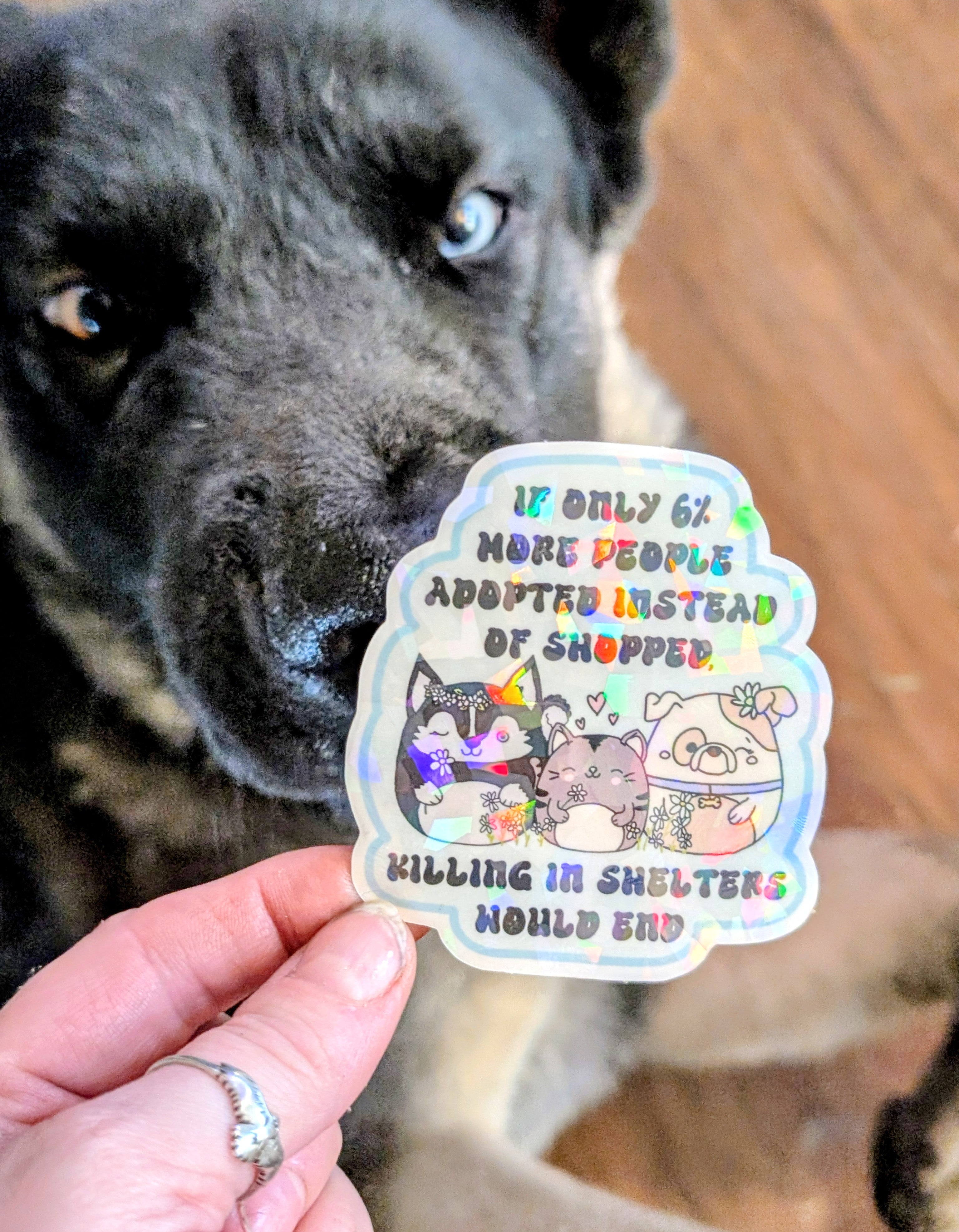 Adopt Don&