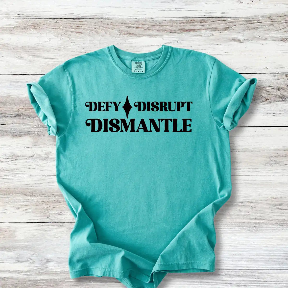 Defy Disrupt Dismantle Shirt, Minimalist Activist Tee