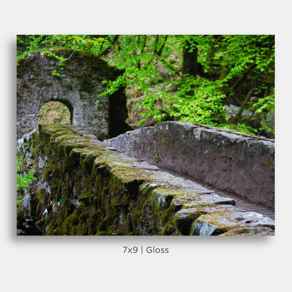 Ivy-Covered Stone Bridge, Perthshire Highlands, landscape of a stone bridge covered in moss in the Highlands of Scotland.