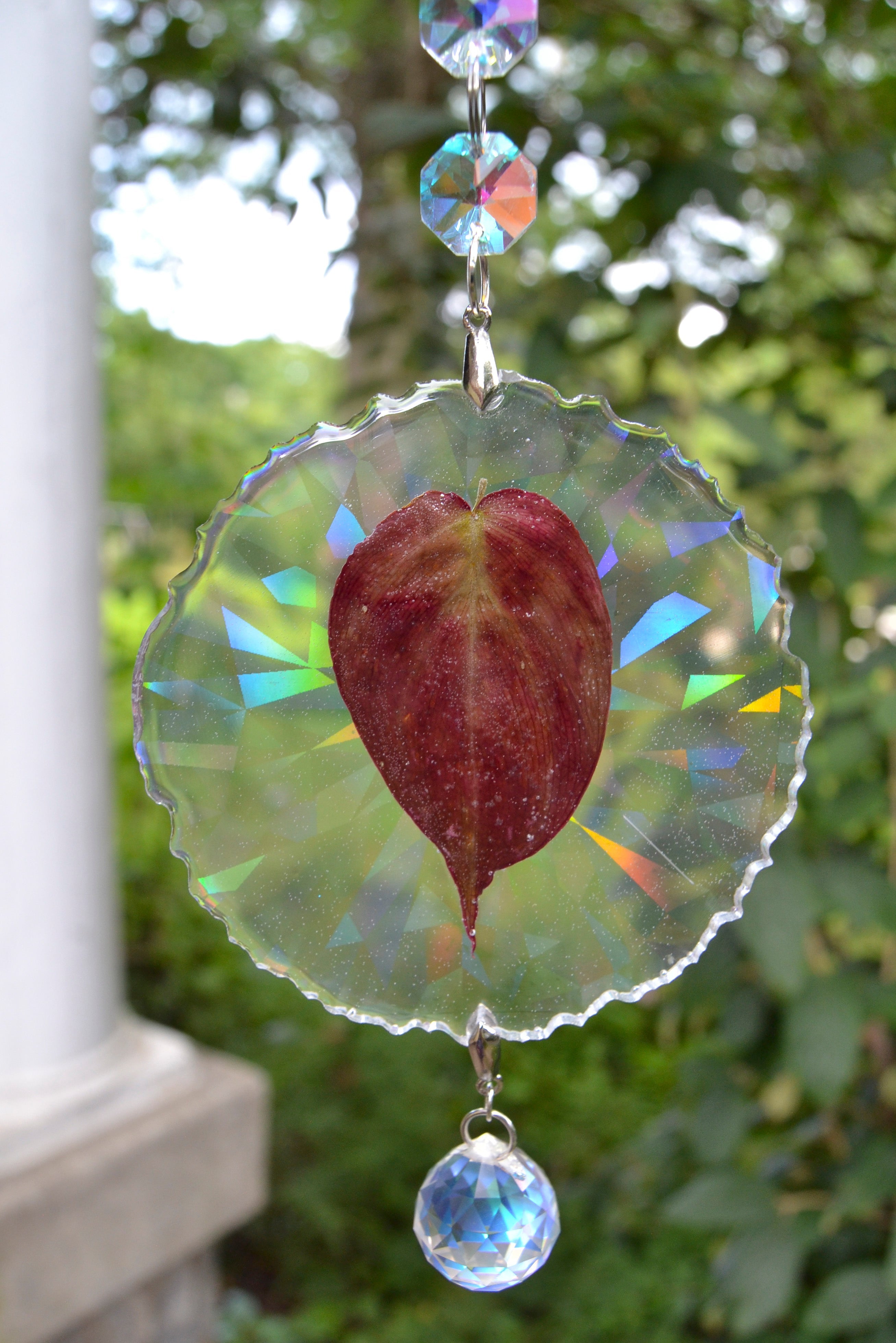 Leaf Suncatcher - Holo P. Micans