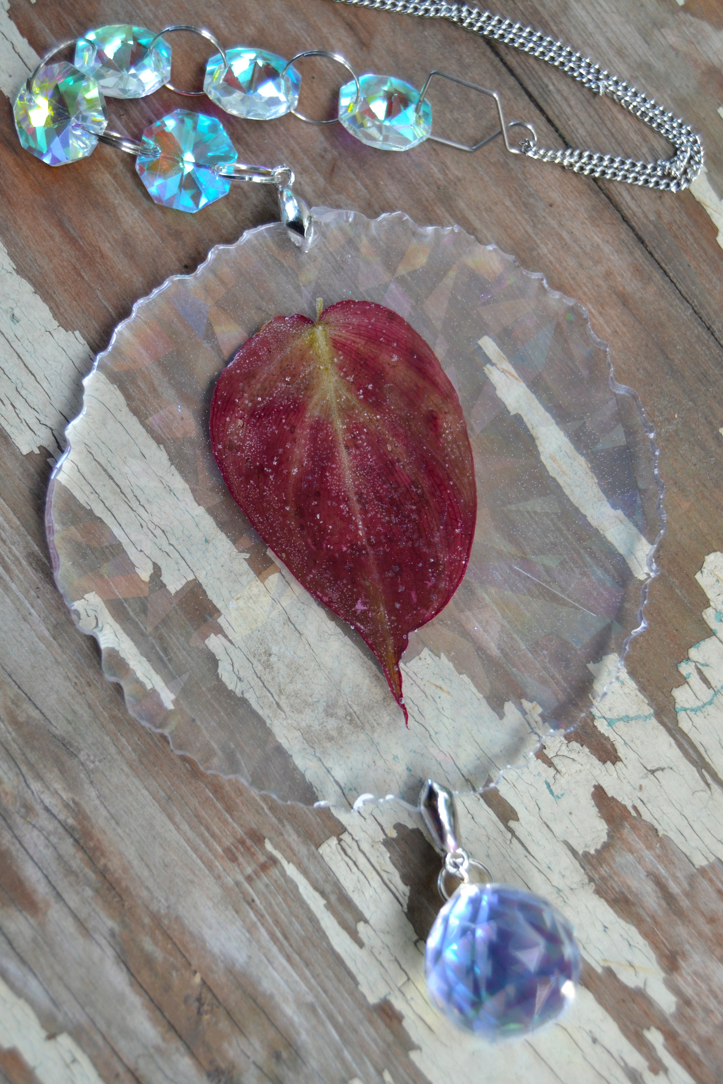 Leaf Suncatcher - Holo P. Micans