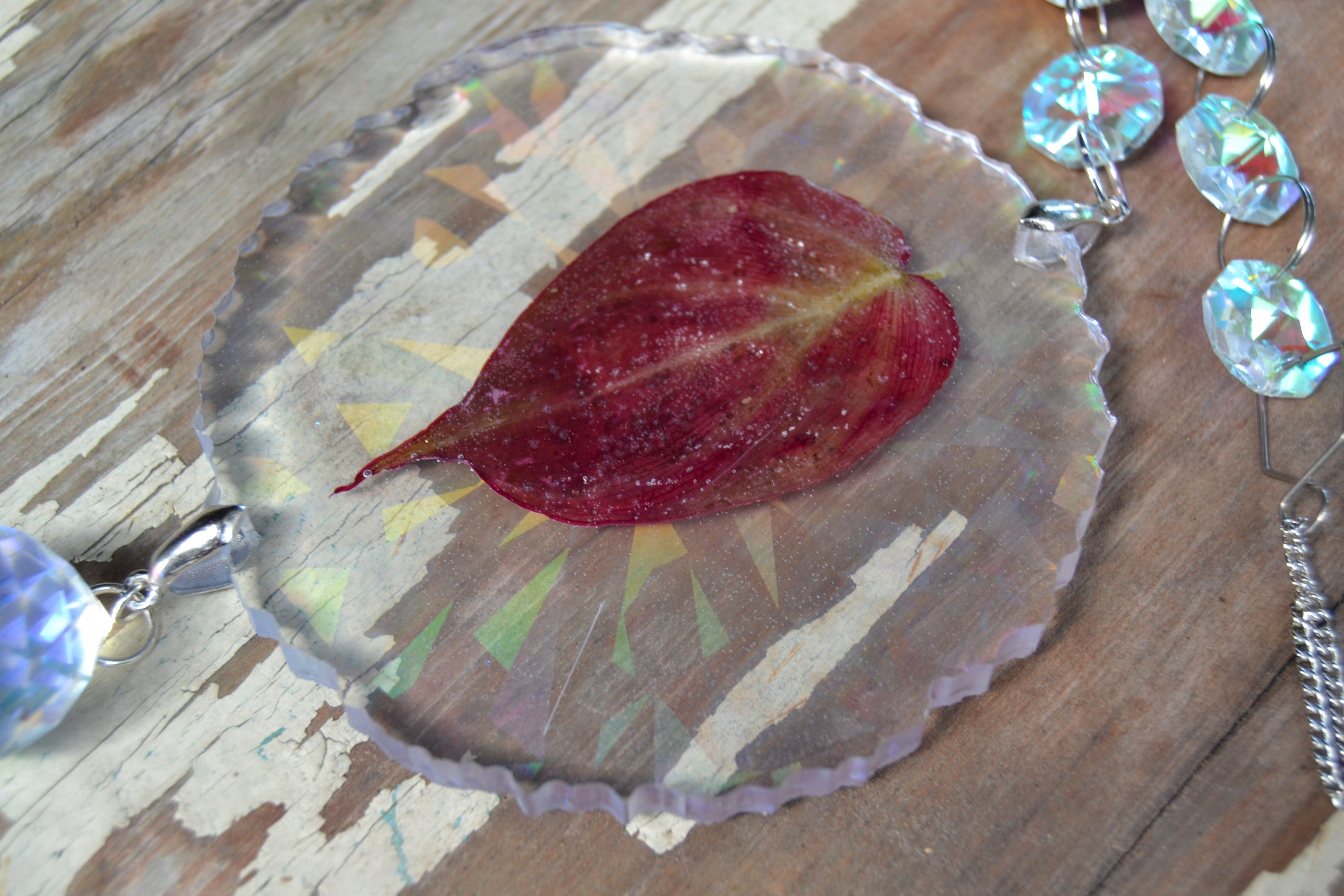 Leaf Suncatcher - Holo P. Micans