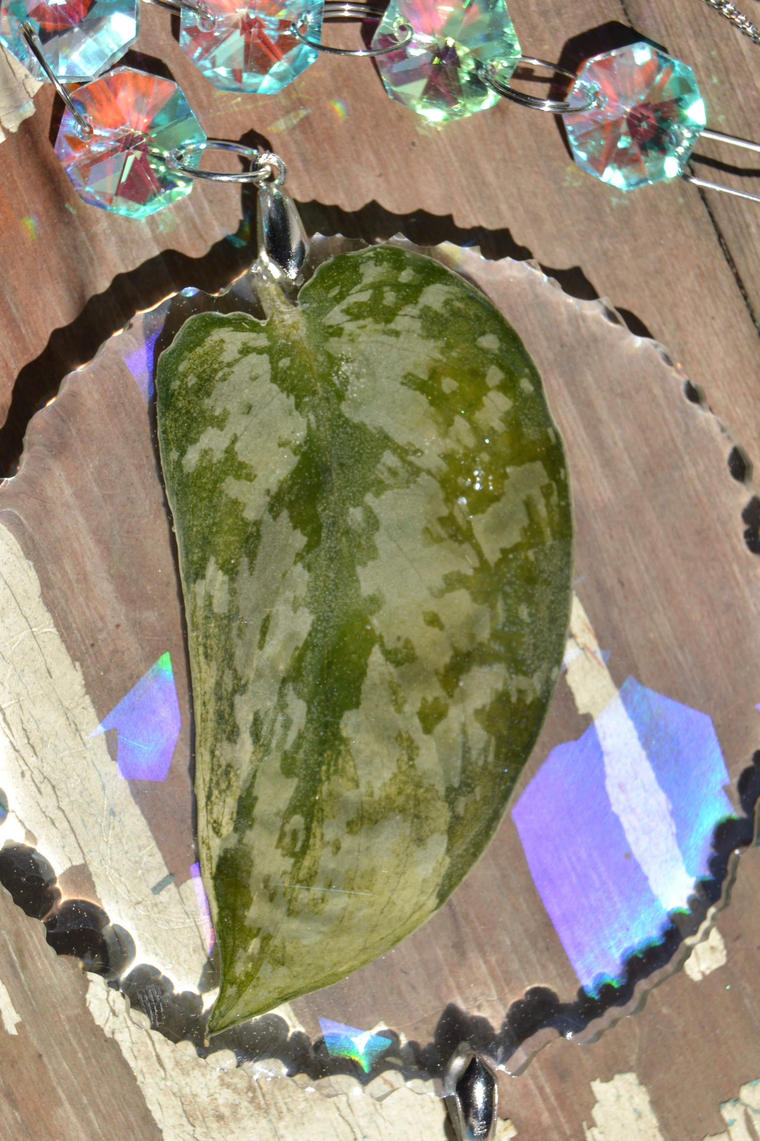 Leaf Suncatcher - Holo S. Black Dragon
