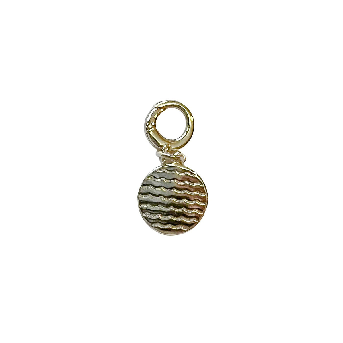 charleston dragonfly coin charm