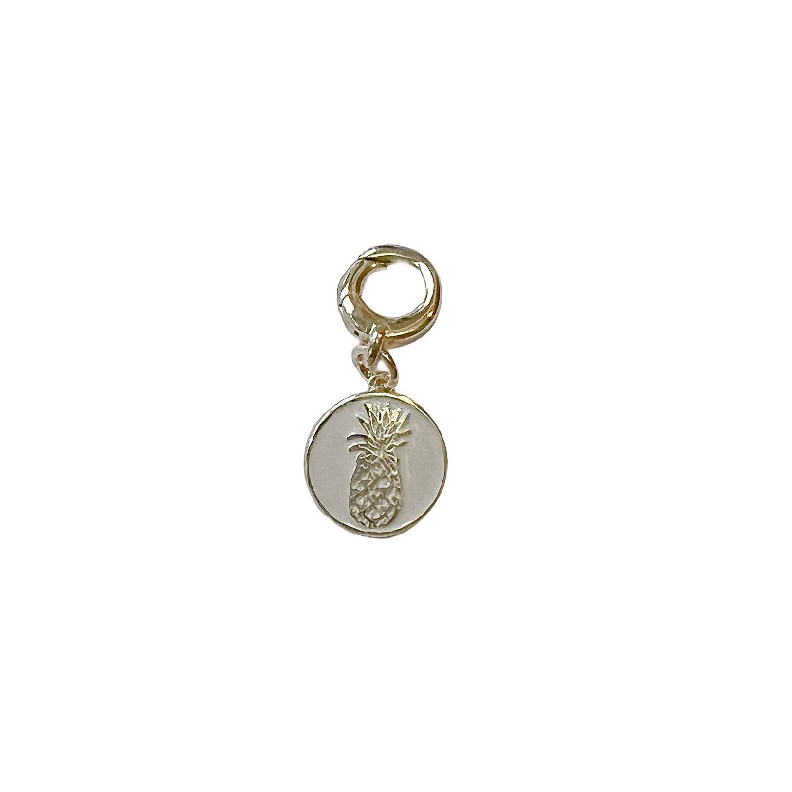 charleston pineapple coin charm
