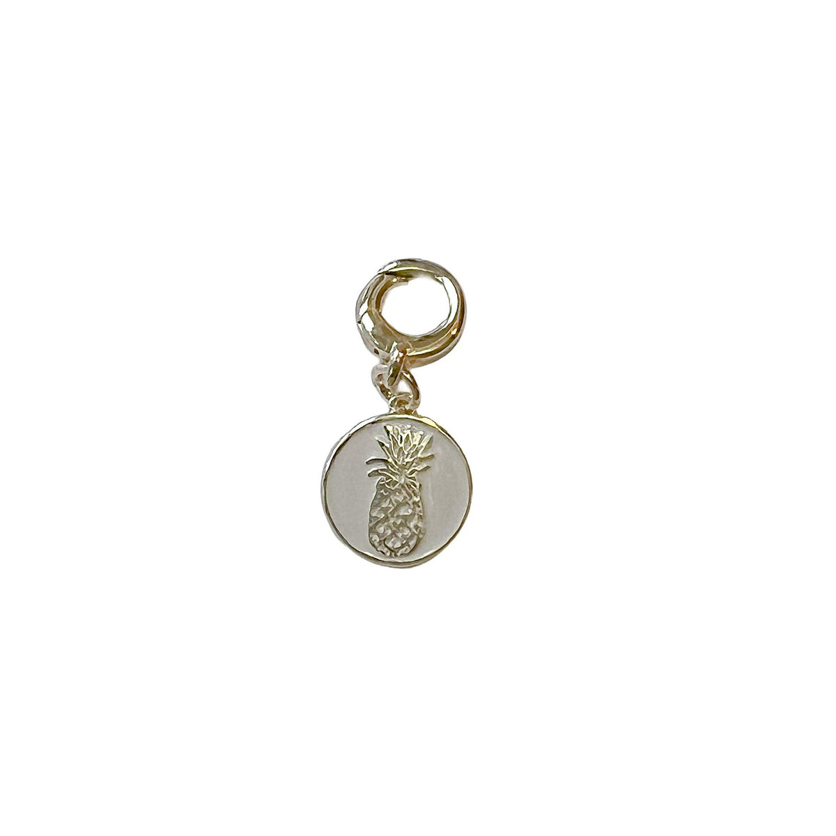 charleston pineapple coin charm