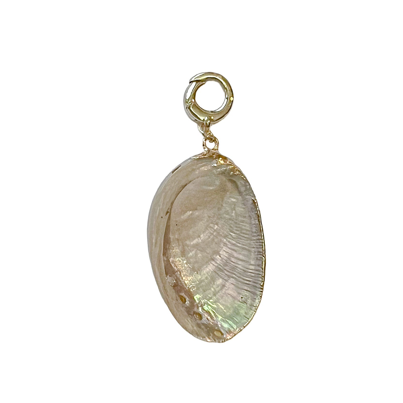 charleston large shell with gold