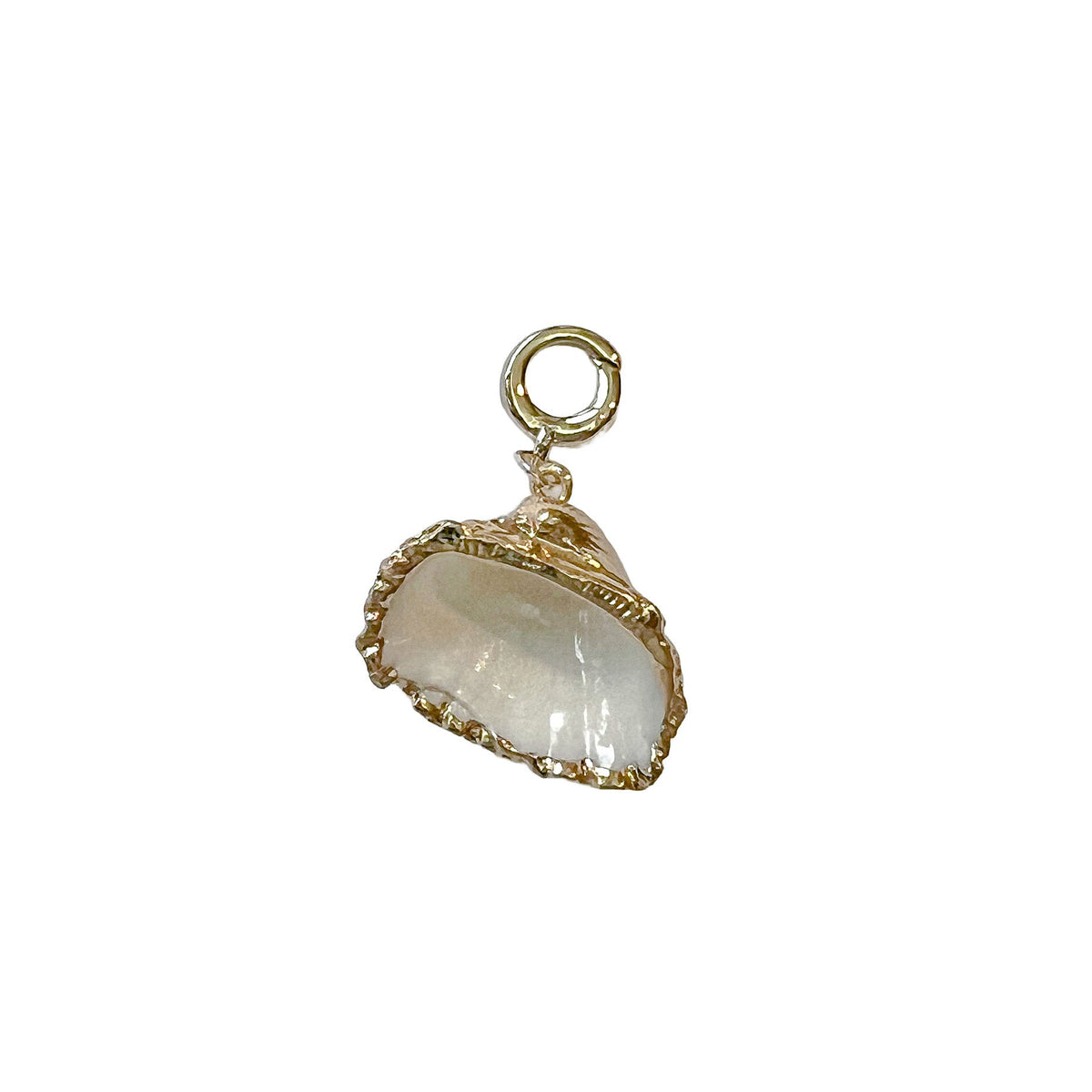 charleston medium white gold edge shell