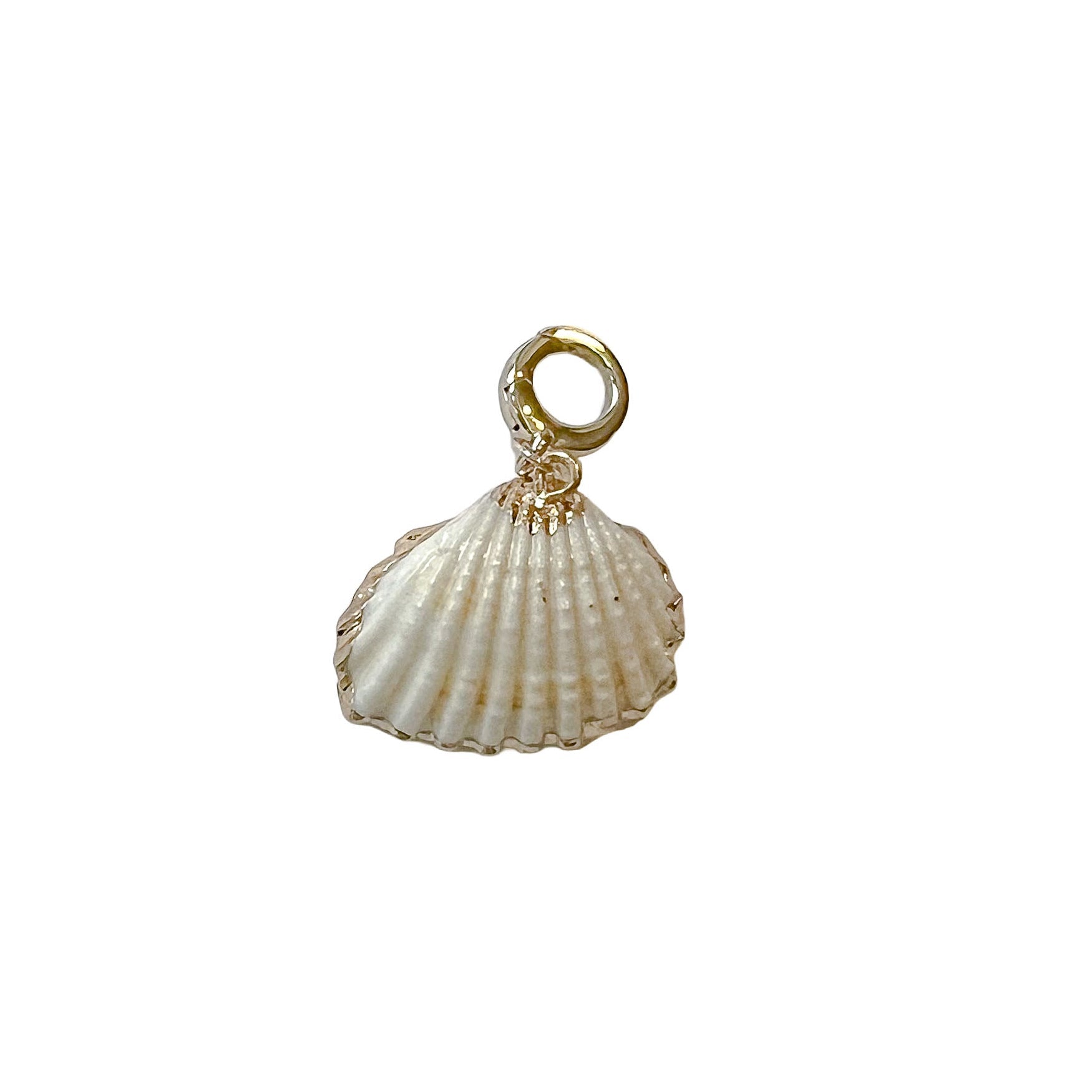charleston natural gold edge shell