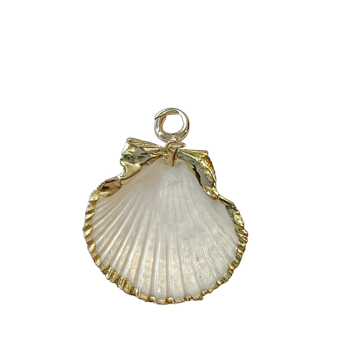 charleston scallop gold edge shell
