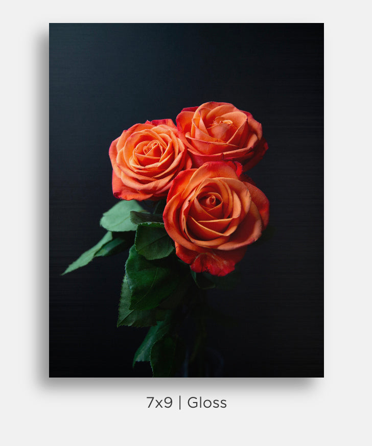 Orange Roses Still Life Mini Metal Print Wall Art