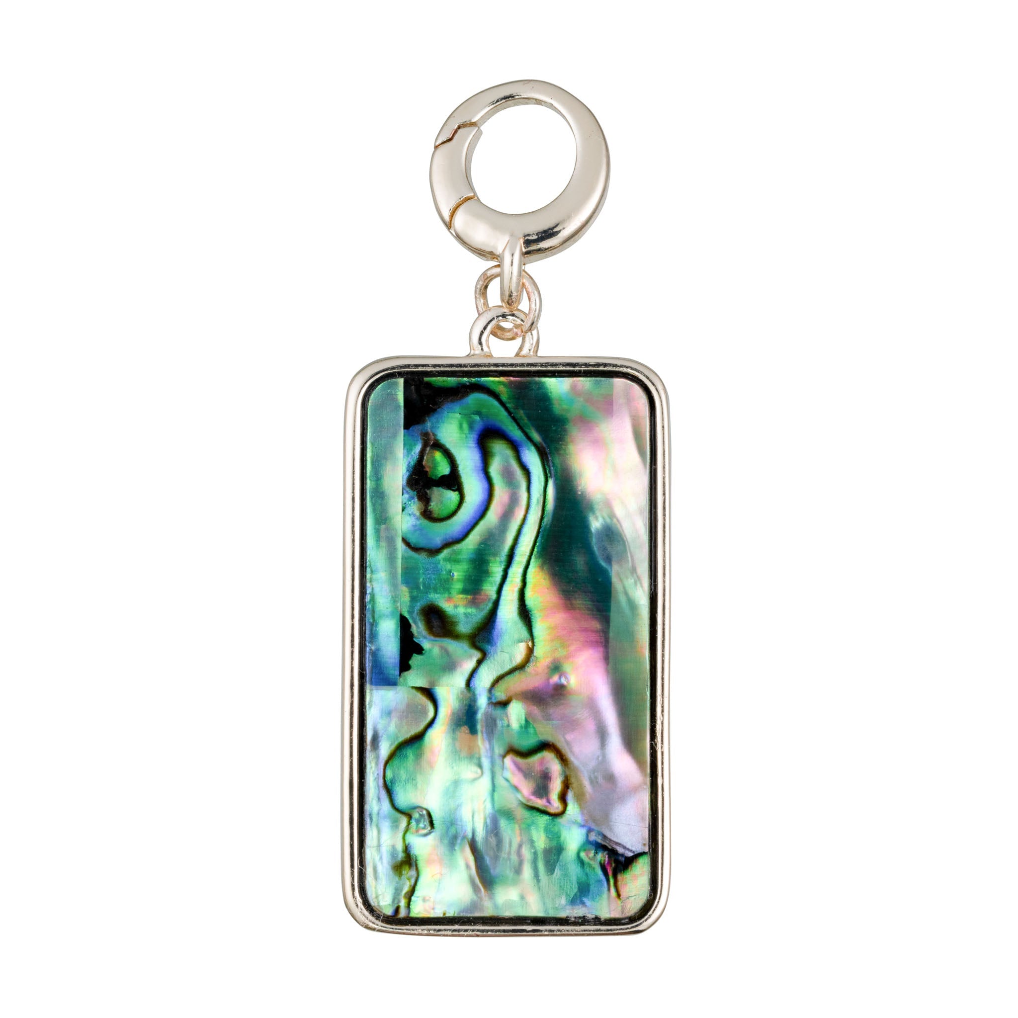 charleston gold abalone nautilus rectangle charm