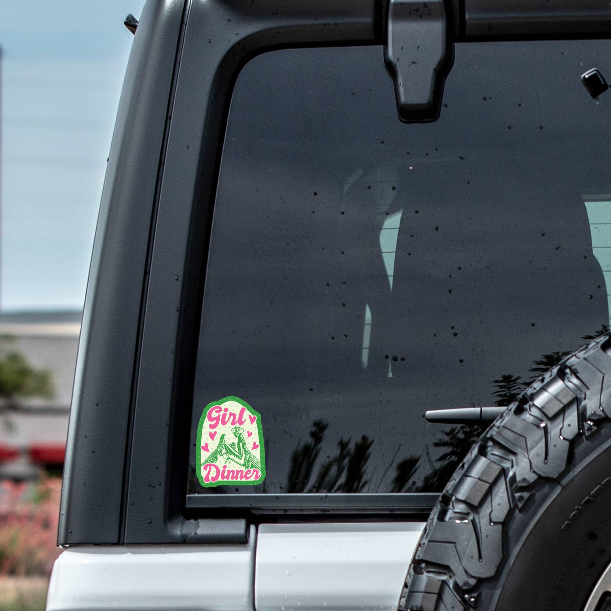 Car window with a sticker and tire visible outdoors