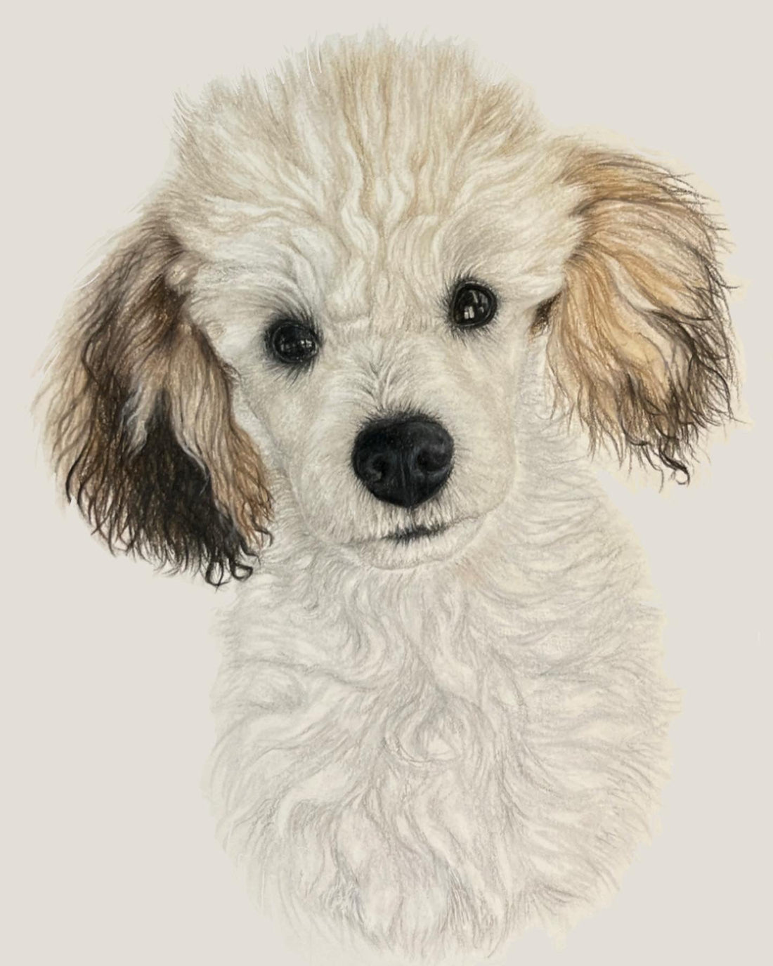 Custom Pet Portrait 5x7