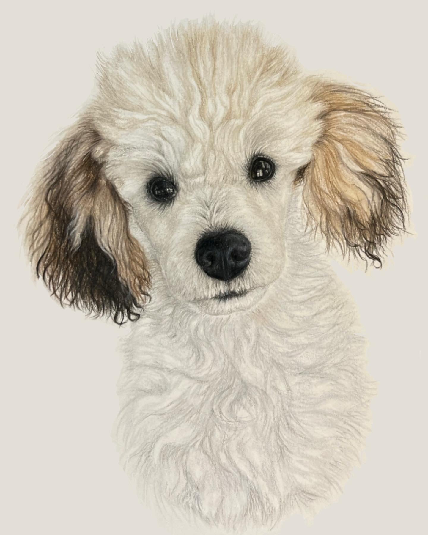 Custom Pet Portrait 5x7
