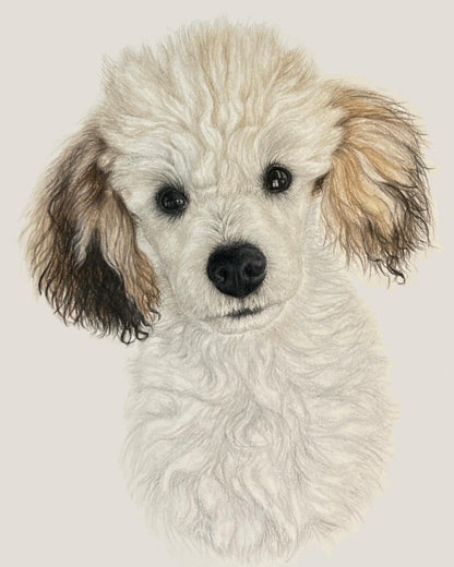 Custom Pet Portrait 5x7