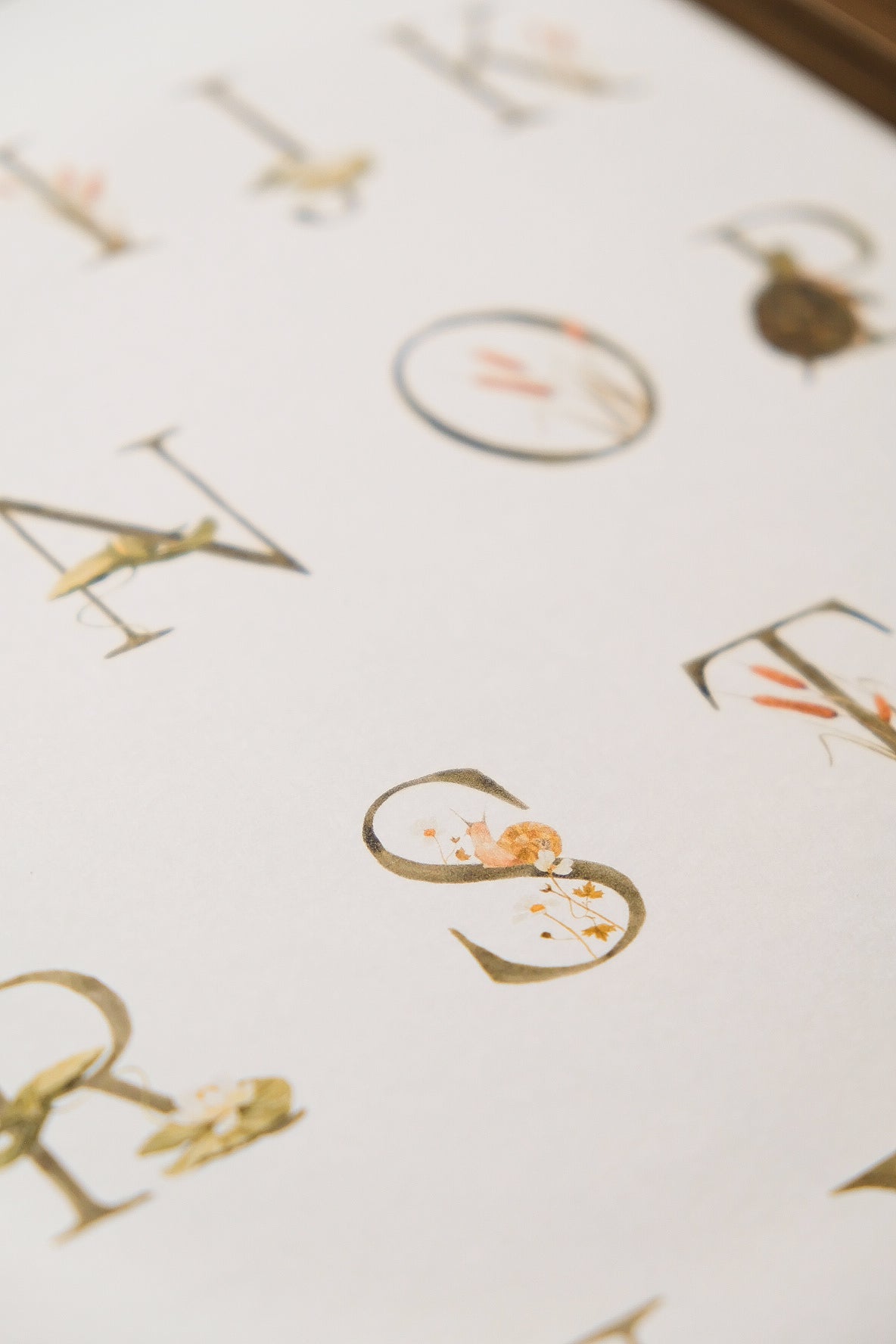 Pond Alphabet
