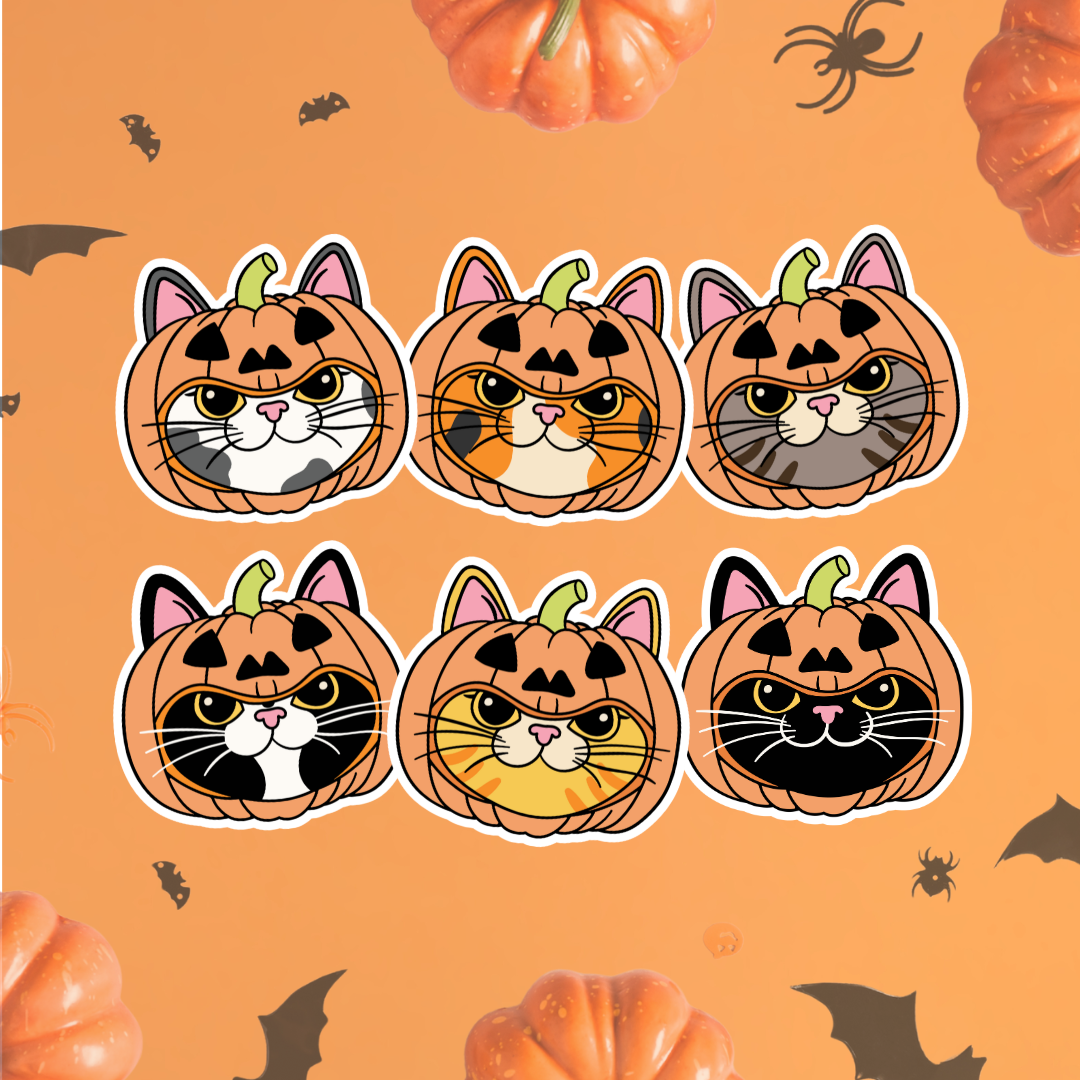 Six Halloween pumpkin cat face stickers arranged in two rows on an orange background with scattered pumpkins, bats, and spider motifs.
