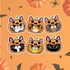 Six Halloween pumpkin cat face stickers arranged in two rows on an orange background with scattered pumpkins, bats, and spider motifs.