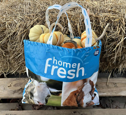 Upcycled Trendy Goat Tote