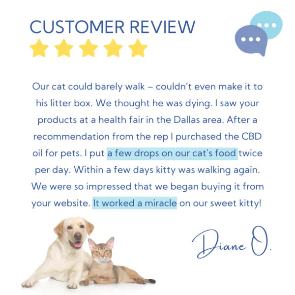 CBD For Pets (750mg)