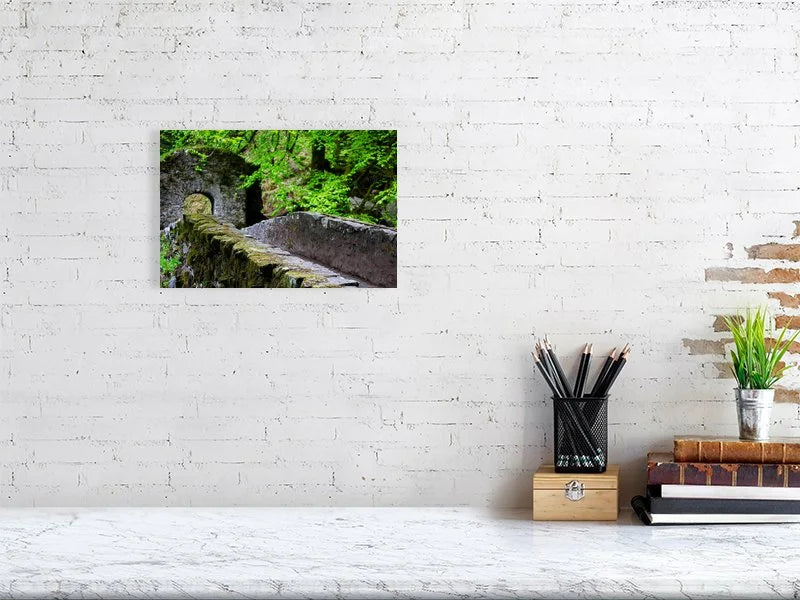 Sample image of Photograph of a stone bridge covered in ivy in a forest in the Scottish highlands.