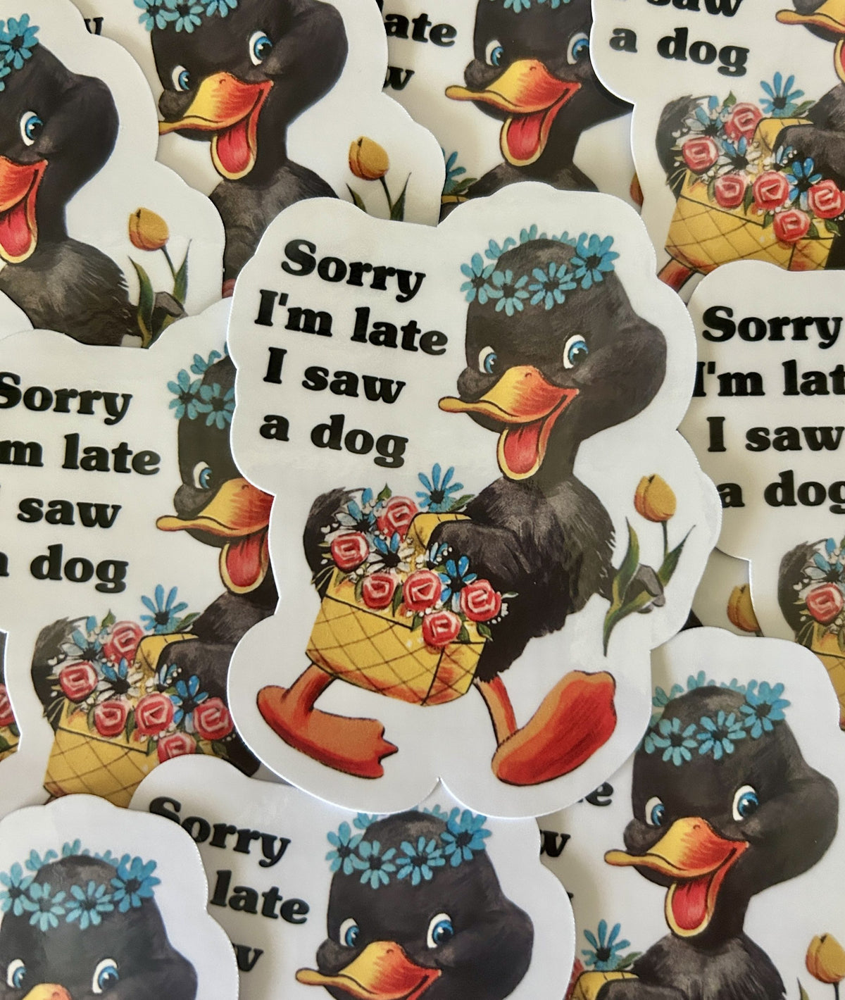 "Sorry I&
