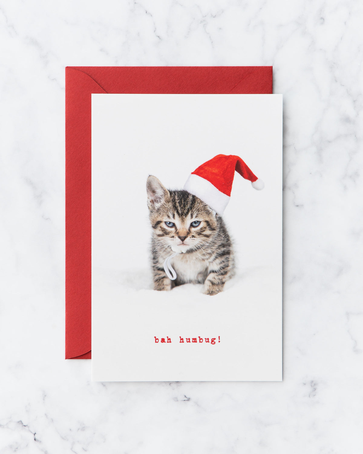 Bah Humbug Kitten Holiday Cards (set of 5)