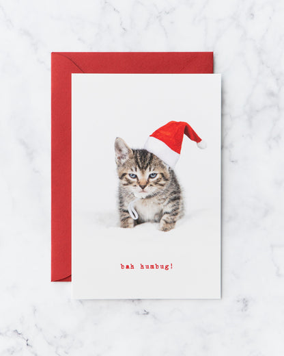 Bah Humbug Kitten Holiday Cards (set of 5)