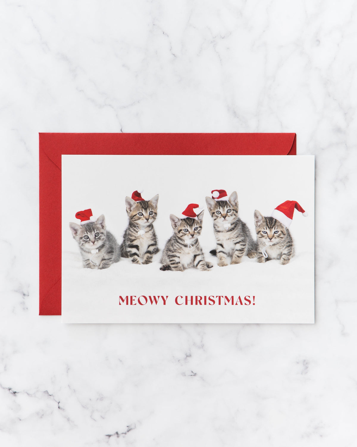 Meowy Christmas Kitten Holiday Cards (set of 5)
