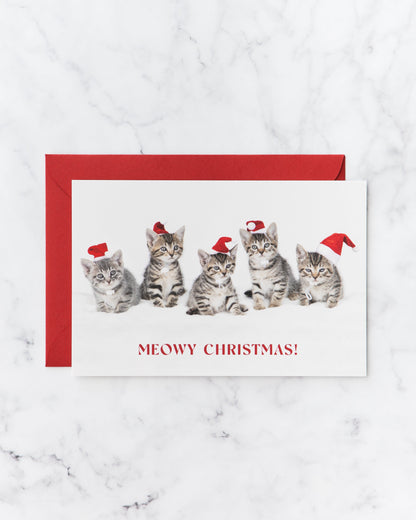 Meowy Christmas Kitten Holiday Cards (set of 5)