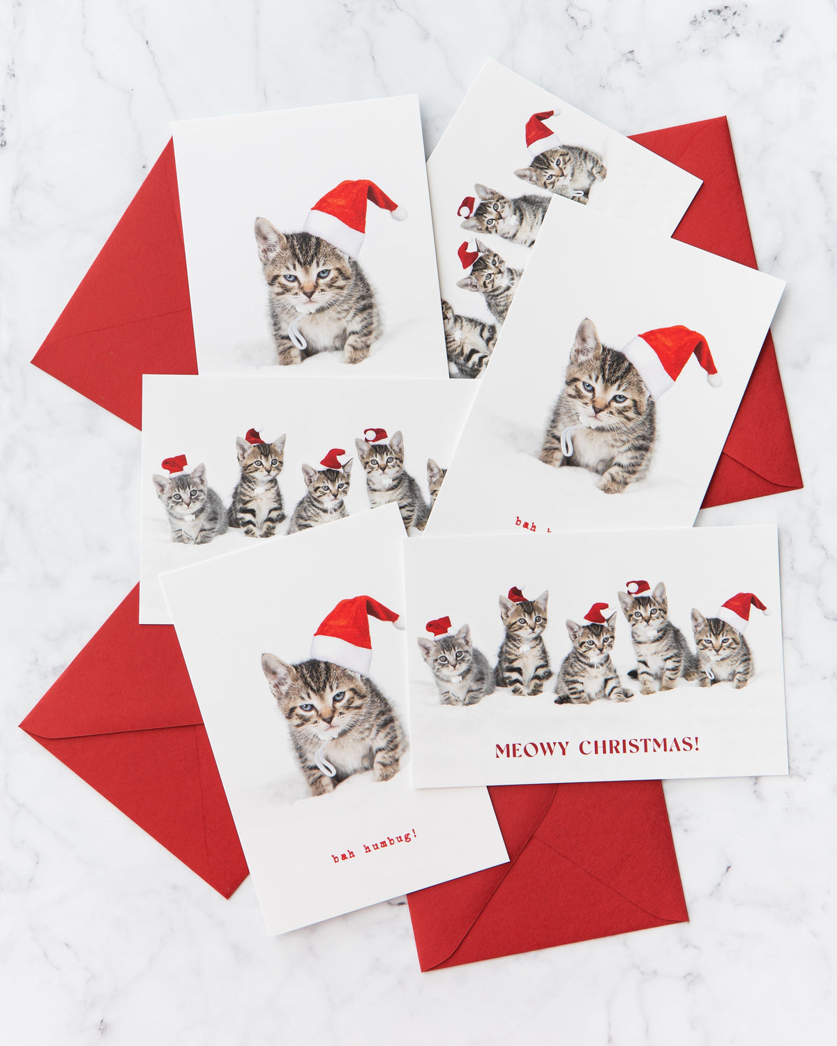 Meowy Christmas Kitten Holiday Cards (set of 5)
