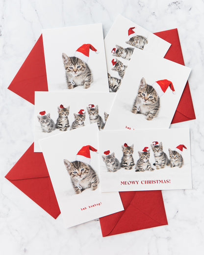 Meowy Christmas Kitten Holiday Cards (set of 5)